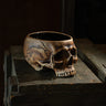 Memento Mori Skull Cup 12oz