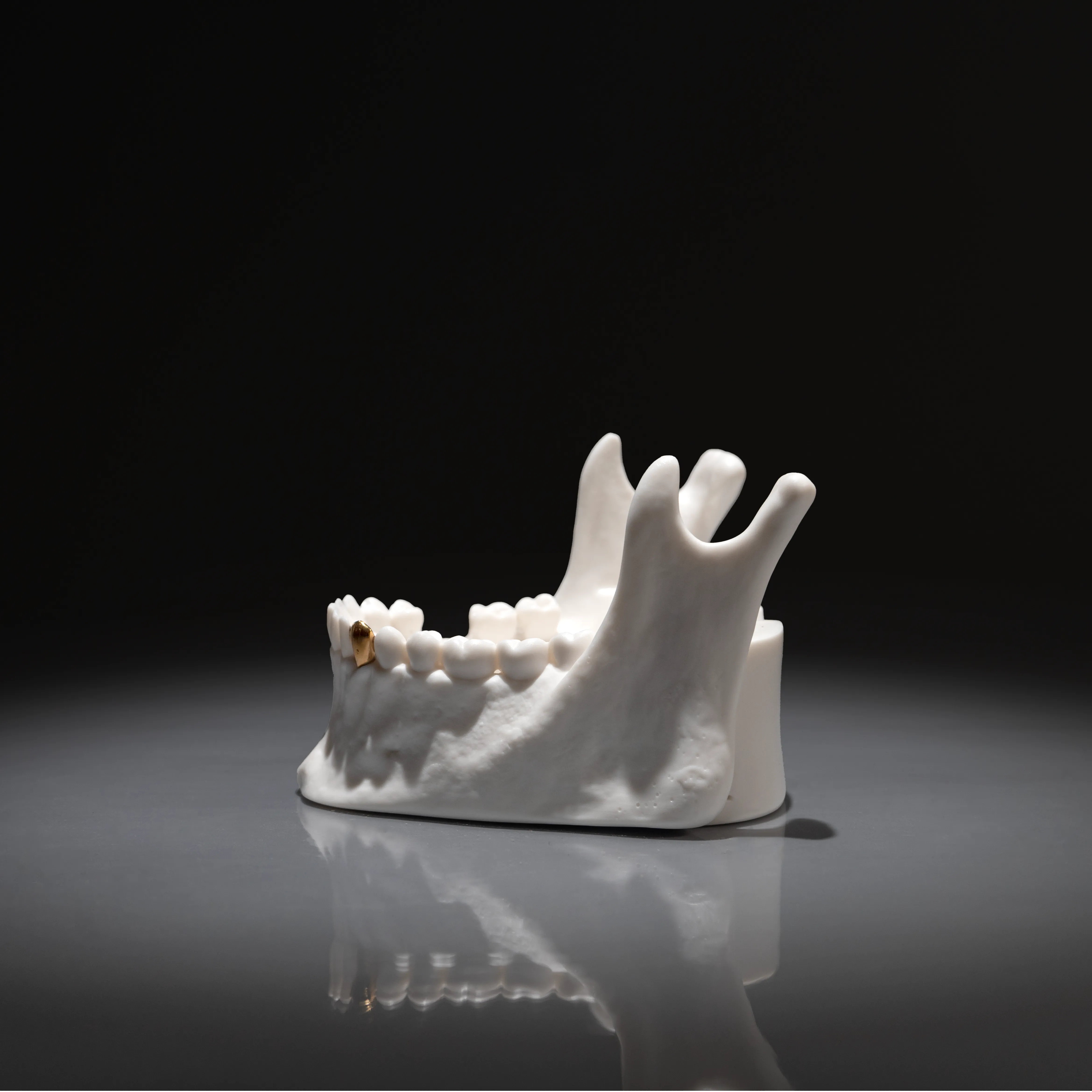 Jaw Dropping Skull Ashtray