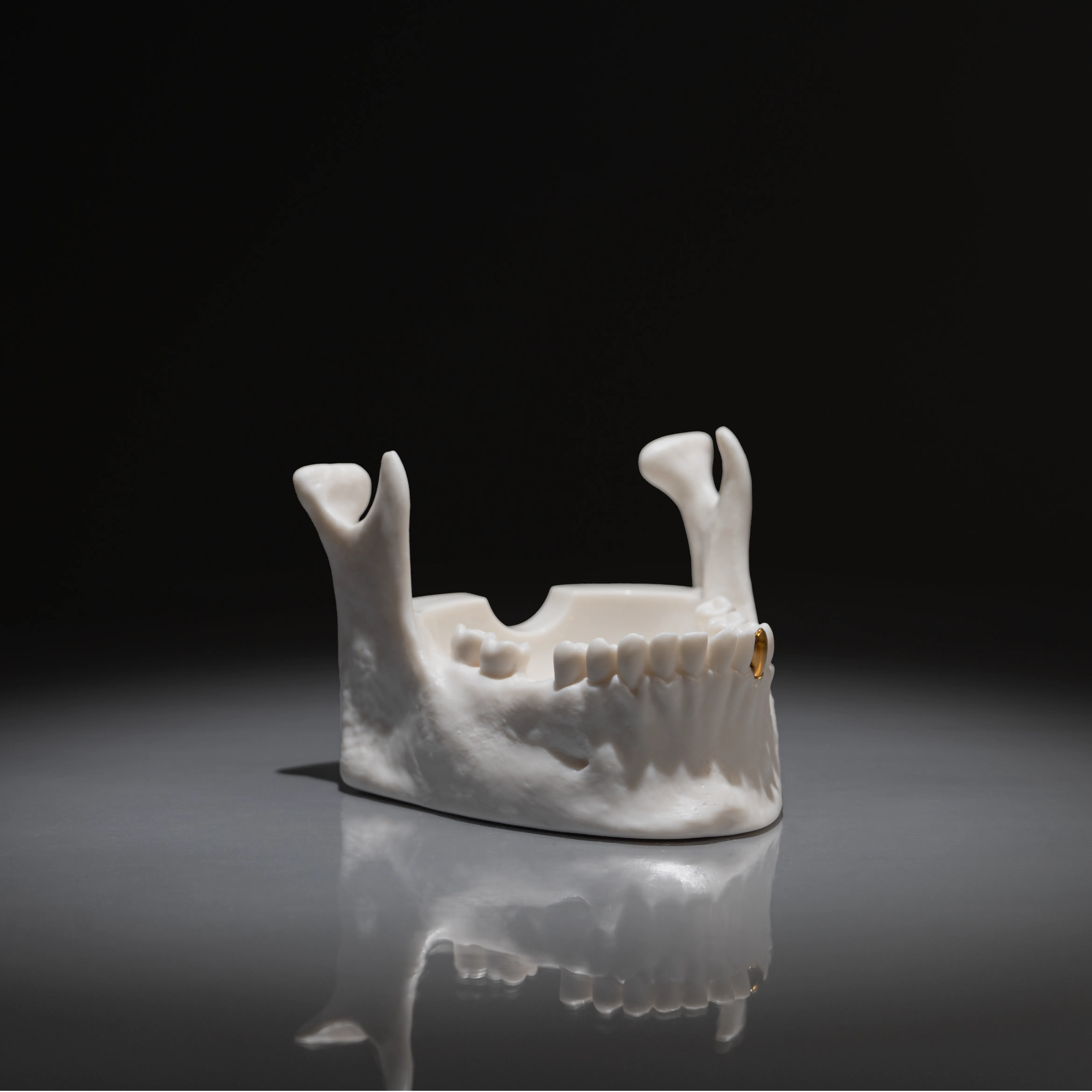 Jaw Dropping Skull Ashtray