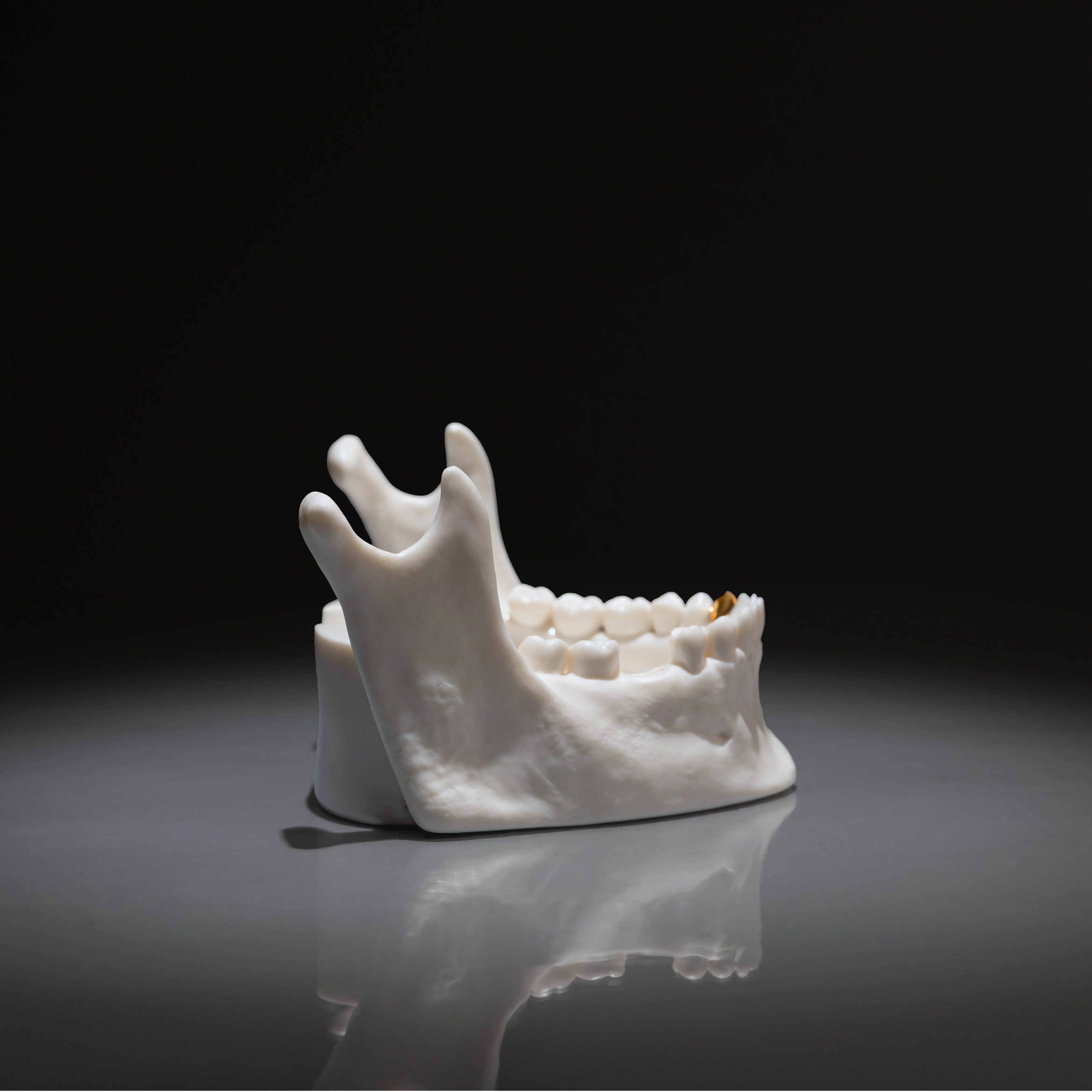 Jaw Dropping Skull Ashtray