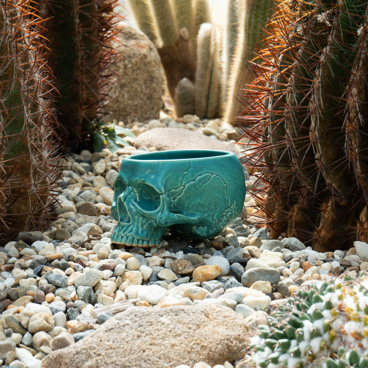 Turquoise Memento Mori Skull Cup 12oz — lifestyle photograph