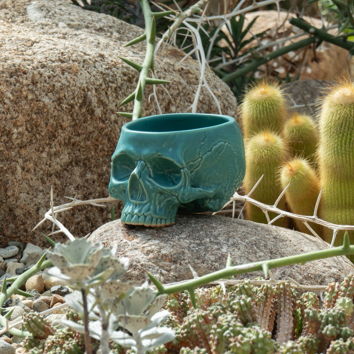 Turquoise Memento Mori Skull Cup 12oz — lifestyle photograph