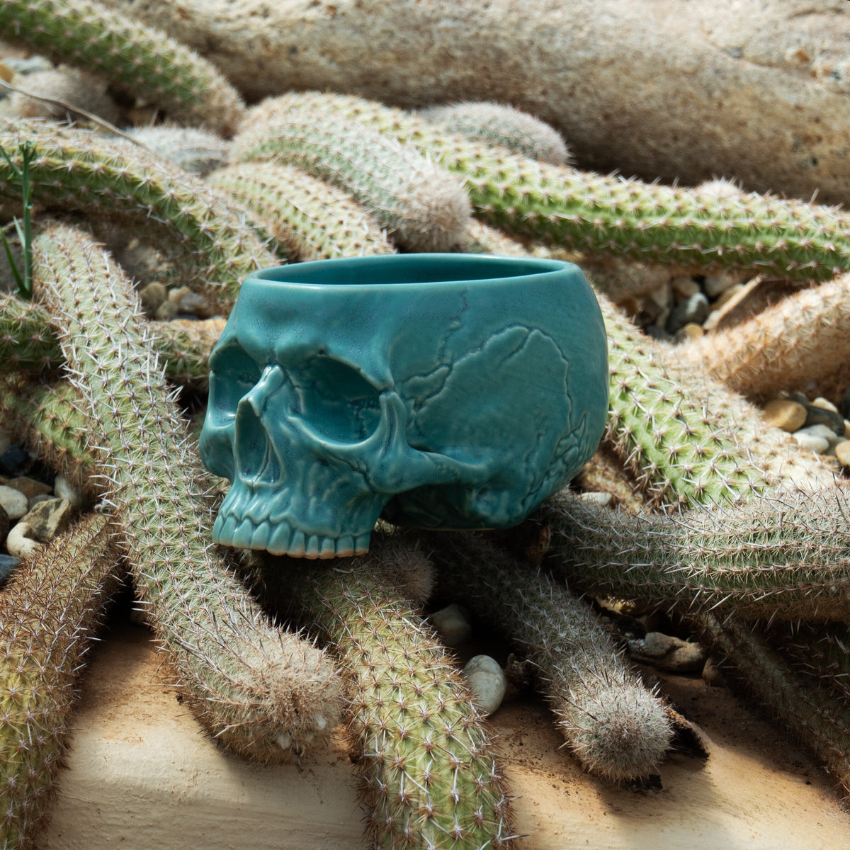 Turquoise Memento Mori Skull Cup 12oz — lifestyle photograph
