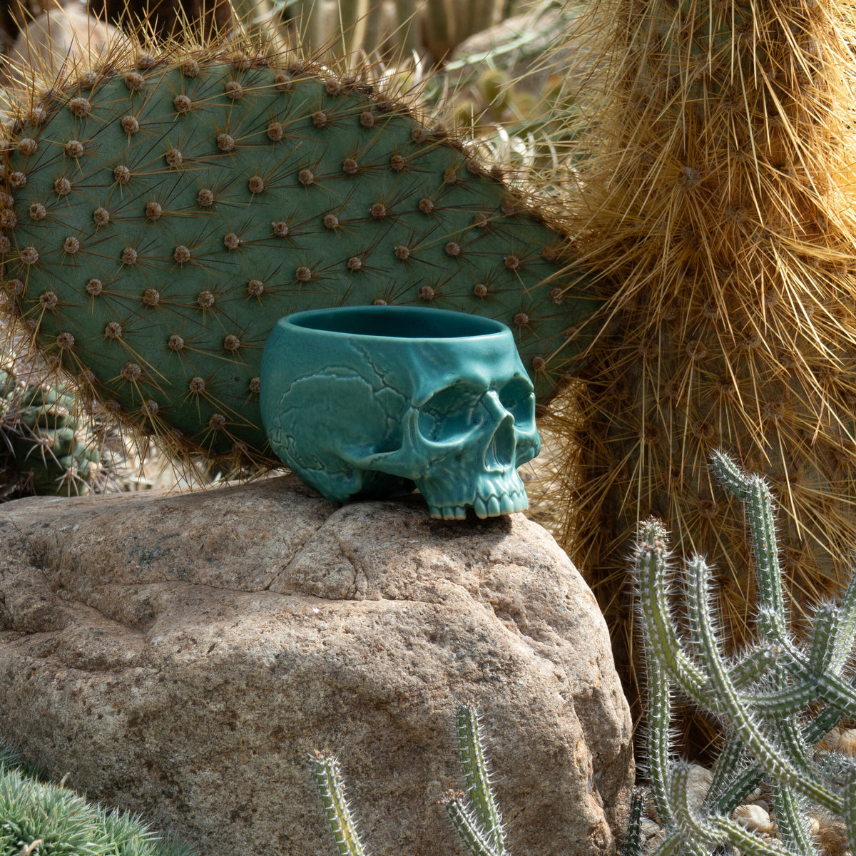 Turquoise Memento Mori Skull Cup 12oz — lifestyle photograph