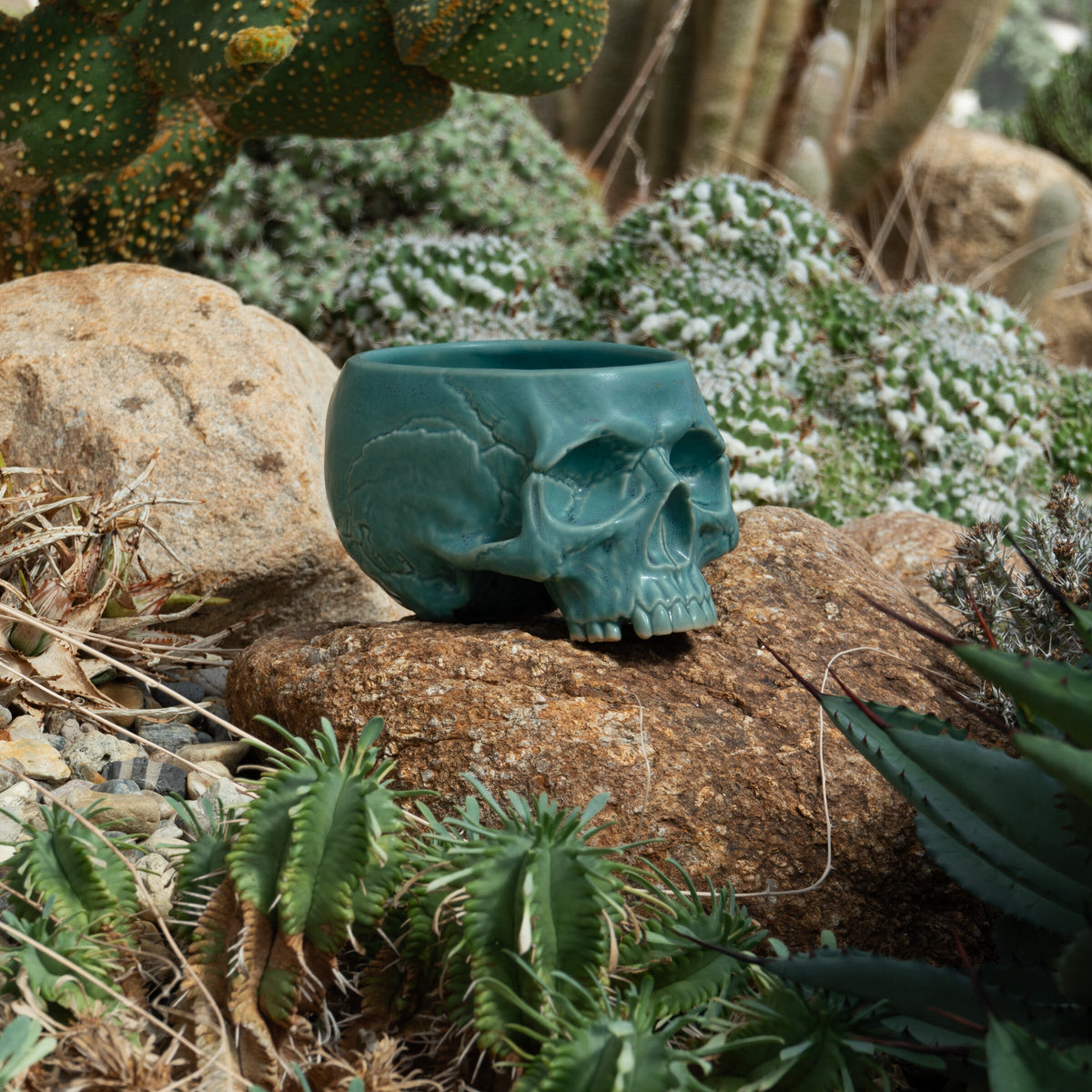 Turquoise Memento Mori Skull Cup 12oz — lifestyle photograph