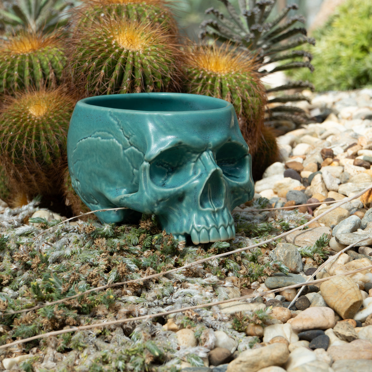 Turquoise Memento Mori Skull Cup 12oz — lifestyle photograph